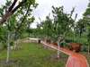Апартаменты Garden House Плав-2