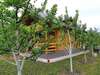 Апартаменты Garden House Плав-4