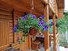Апартаменты Garden House Плав-6