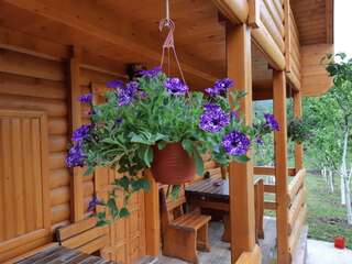 Апартаменты Garden House Плав Апартаменты-30