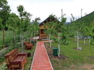 Апартаменты Garden House Плав Апартаменты-33