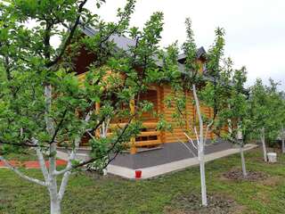 Апартаменты Garden House Плав Апартаменты-5